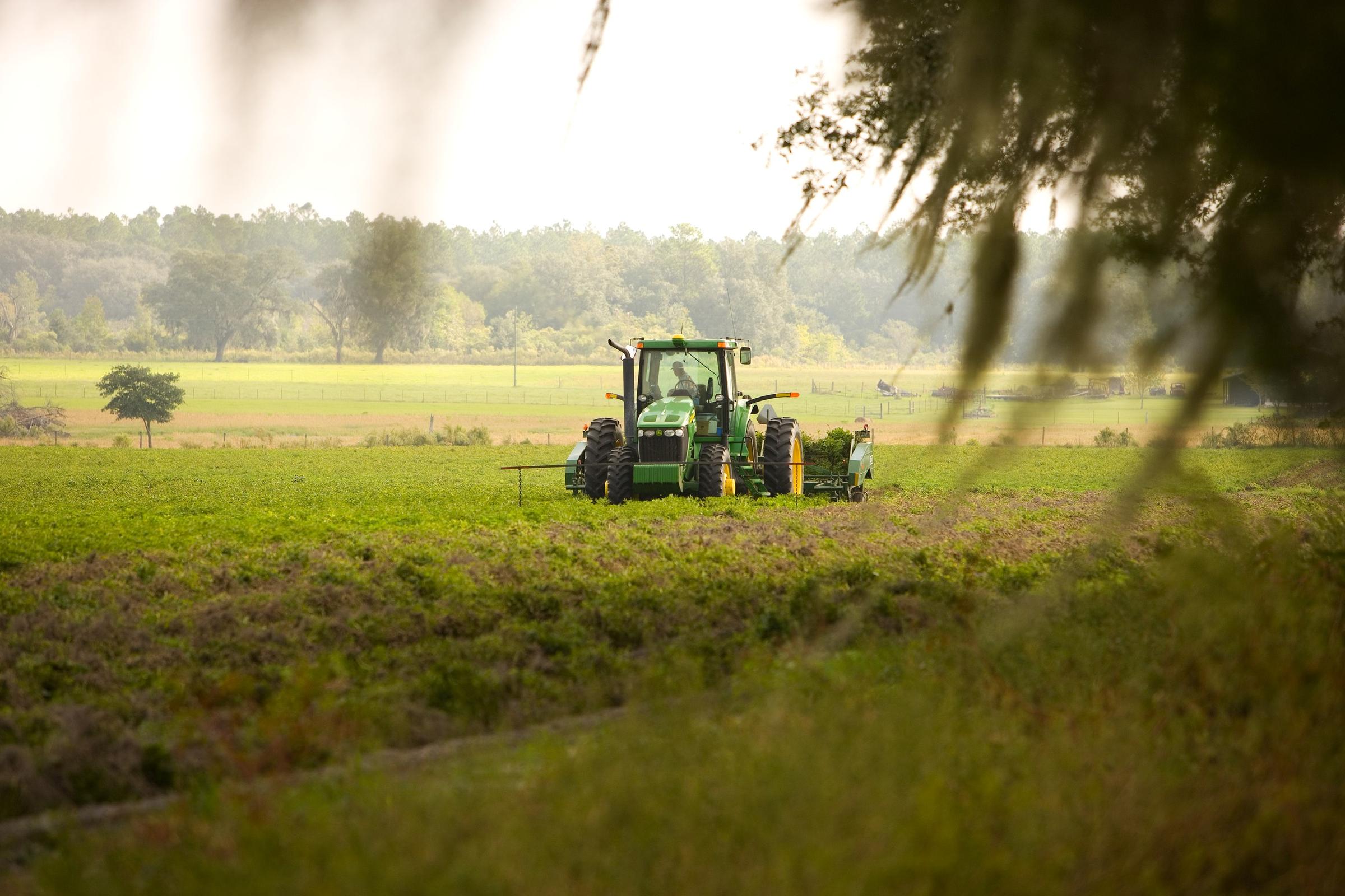 Agriculture Industry Takes Big Hit In Hurricane | Health News Florida