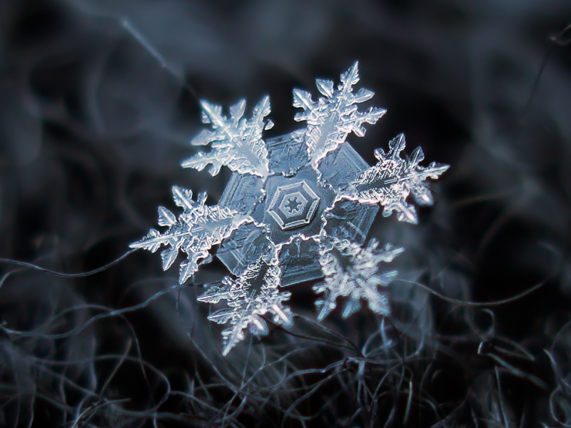 http://mediad.publicbroadcasting.net/p/idaho/files/201709/Snowflake_winter_cold_ice_freeze.jpg