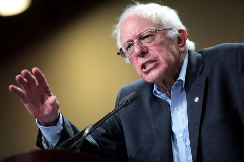 The Bernie Sanders Guide To Political Revolution Iowa Public Radio 