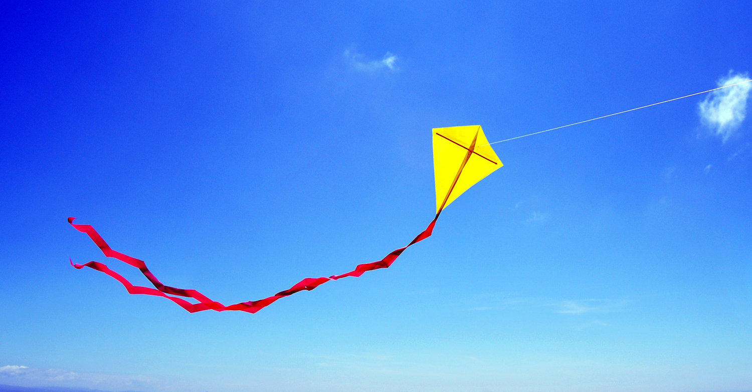 national fly a kite day