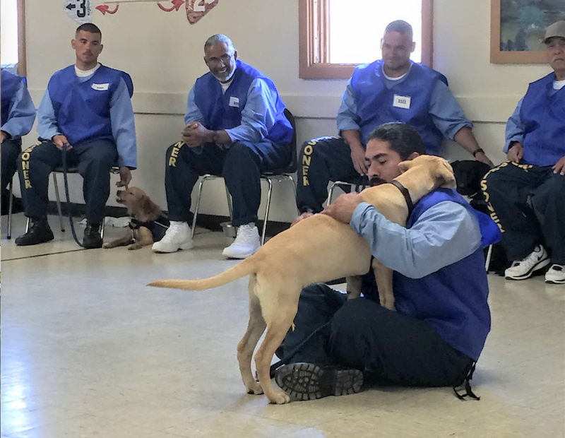State prisoners train shelter dogs to be companion animals for veterans