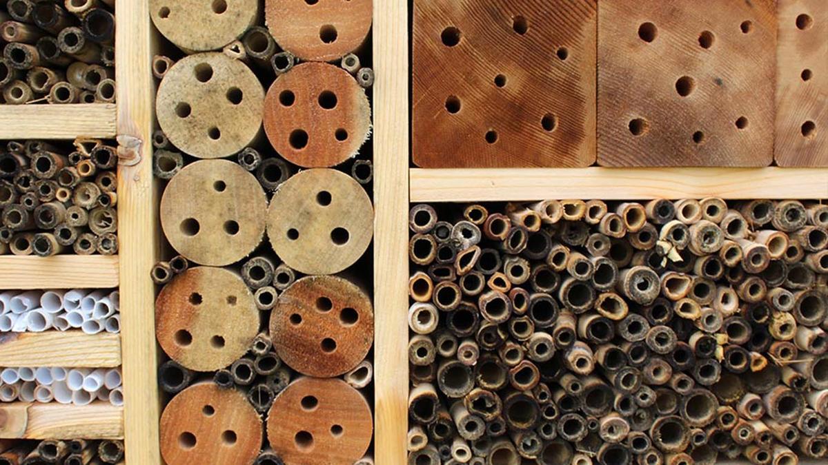 Paper, bamboo and wood blocks make up spots for bees in a bee hotel. 
