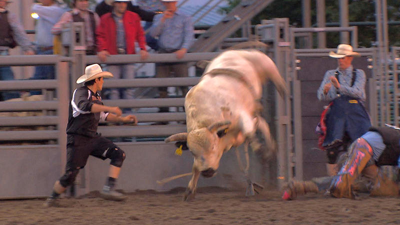 bull rider killed