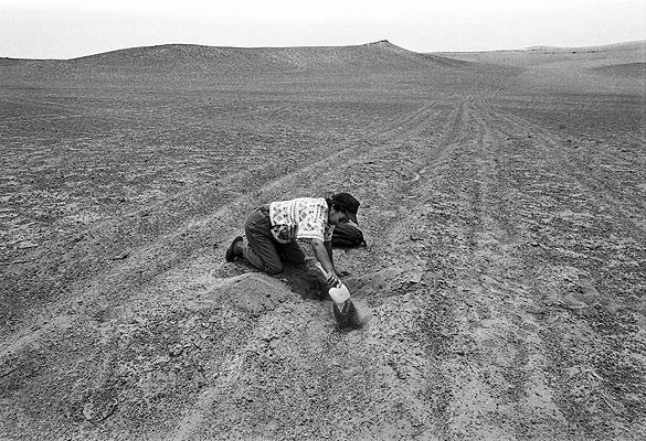 Image result for atacama desert women digging