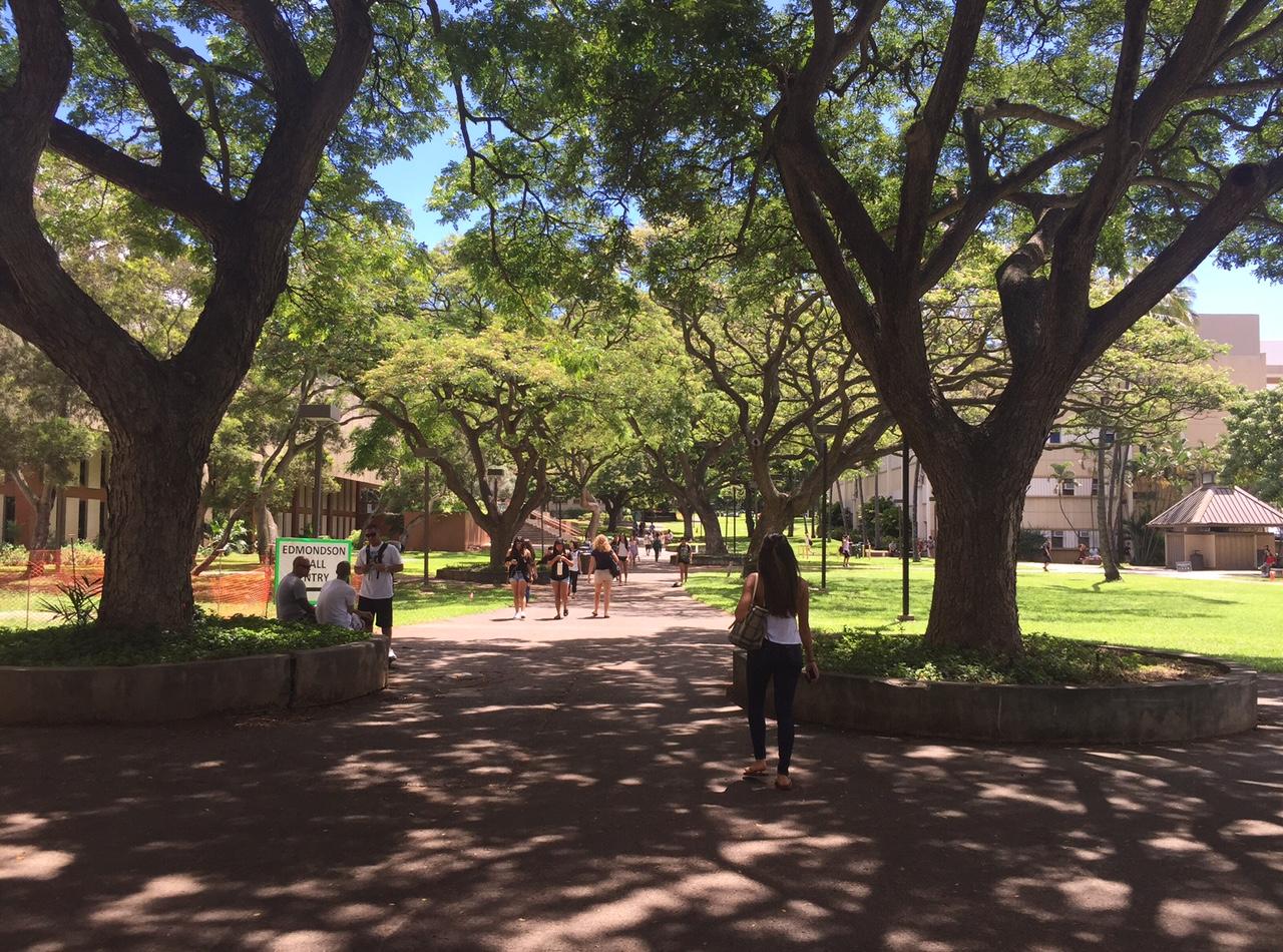 university of hawaii at manoa employment