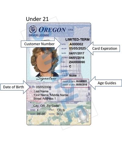 free oregon drivers license template