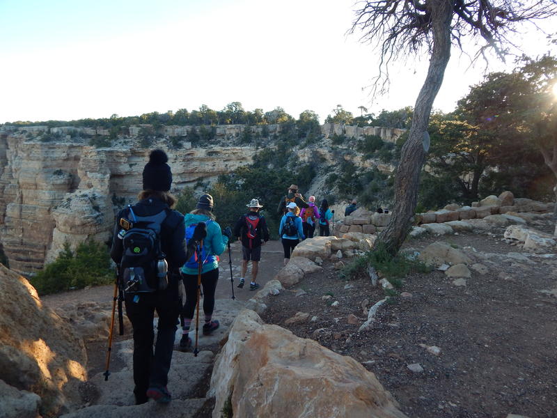 Grand Canyon Rim-to-Rim Hikers Give their Sweat and Blood to Science - KNAU Arizona Public Radio
