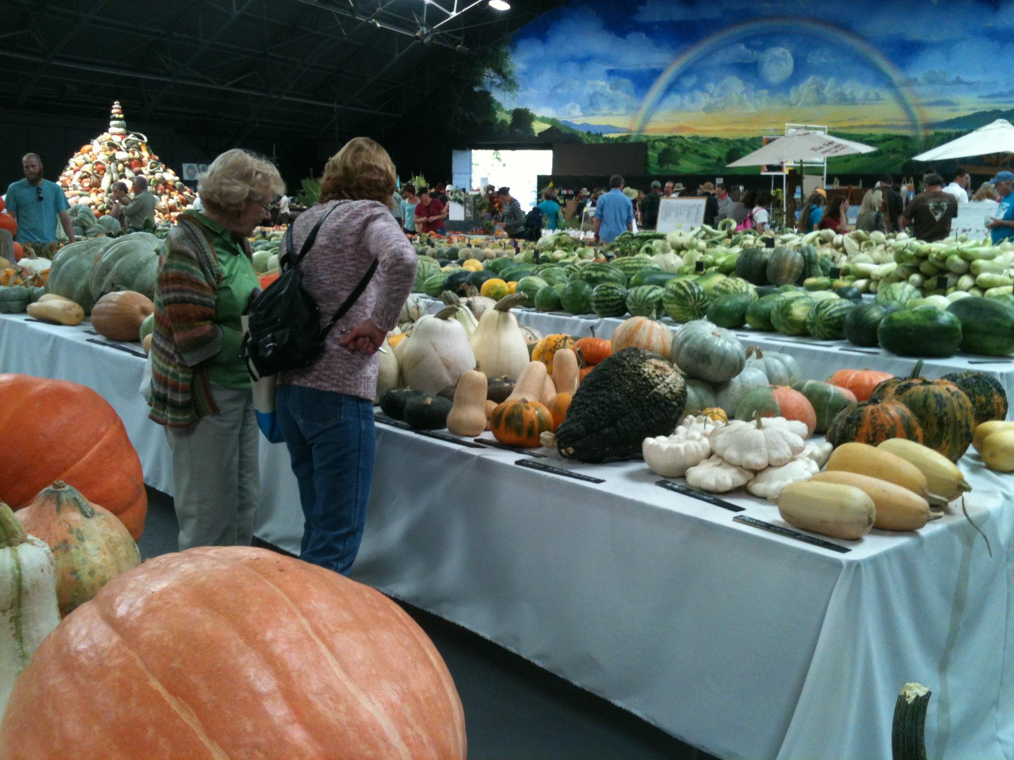 Tasting History at the Heirloom Seed Expo KRCB