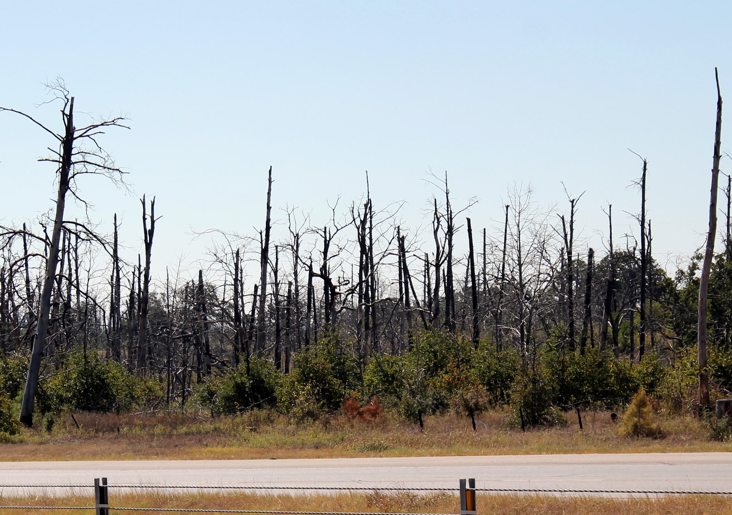 Bastrop County Families That Lost Everything In 2011 Fire Face A