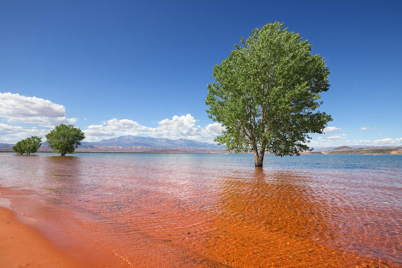 colorado river basin states: what new water shortage plans could