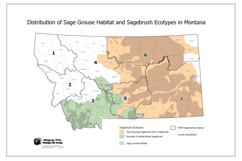 Distribution of Sage Grouse Habitat and sagebrush ecotypes in Montana. 