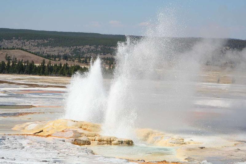 A geyser erupts in Yellowstone National Park.