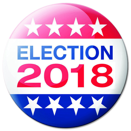 Image result for Election 2018 voting