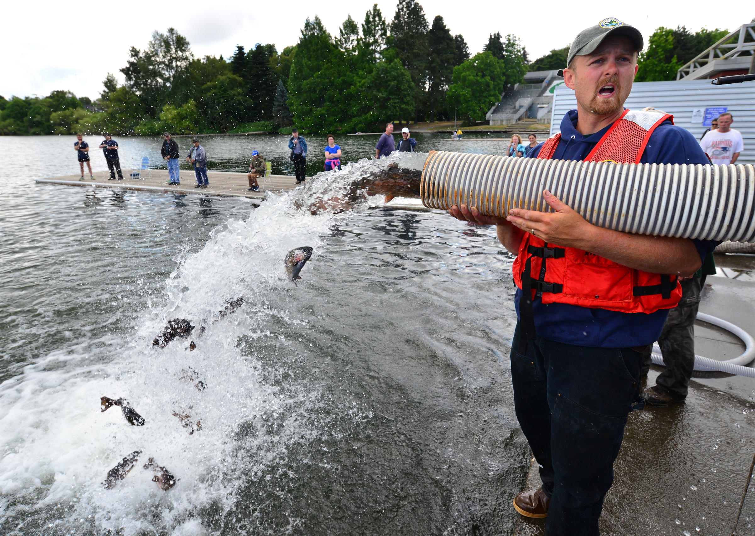 Watch Green Lake Get Stocked With Big Fat Fish KUOW News and Information