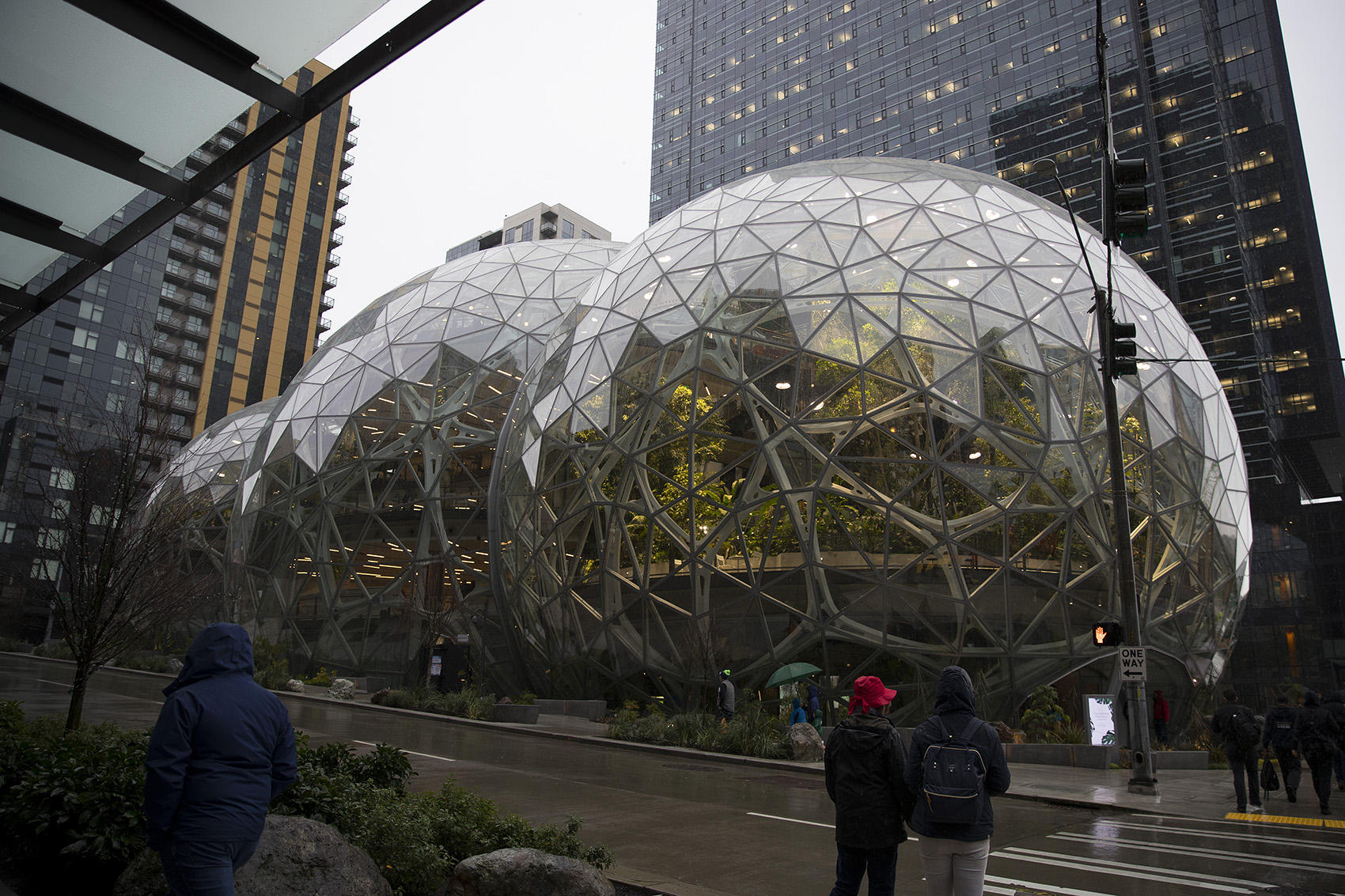 Amazon's spheres are shown on Monday, January 29, 2018, during the spheres grand opening in Seattle.