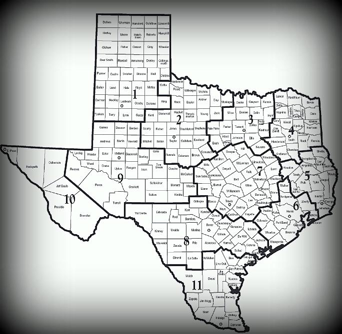 Program Texas Welfare