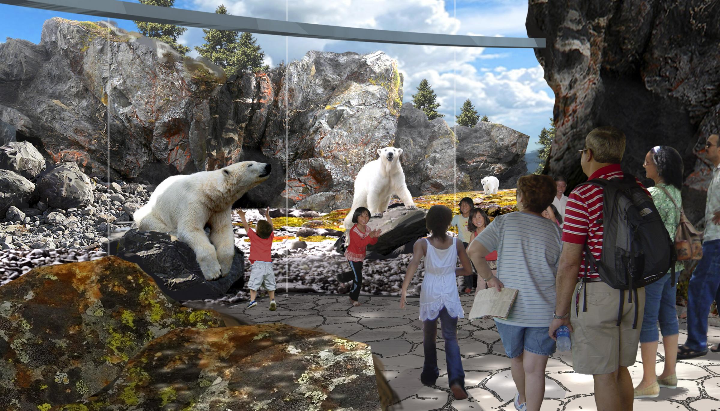 Saint Louis Zoo Shows Off Plans For Its New Polar Bear Exhibit | St. Louis Public Radio