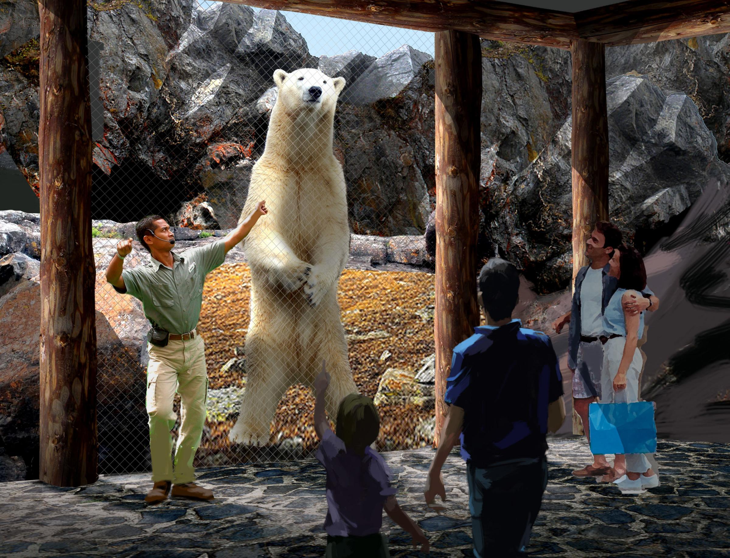 Saint Louis Zoo Shows Off Plans For Its New Polar Bear Exhibit | St. Louis Public Radio