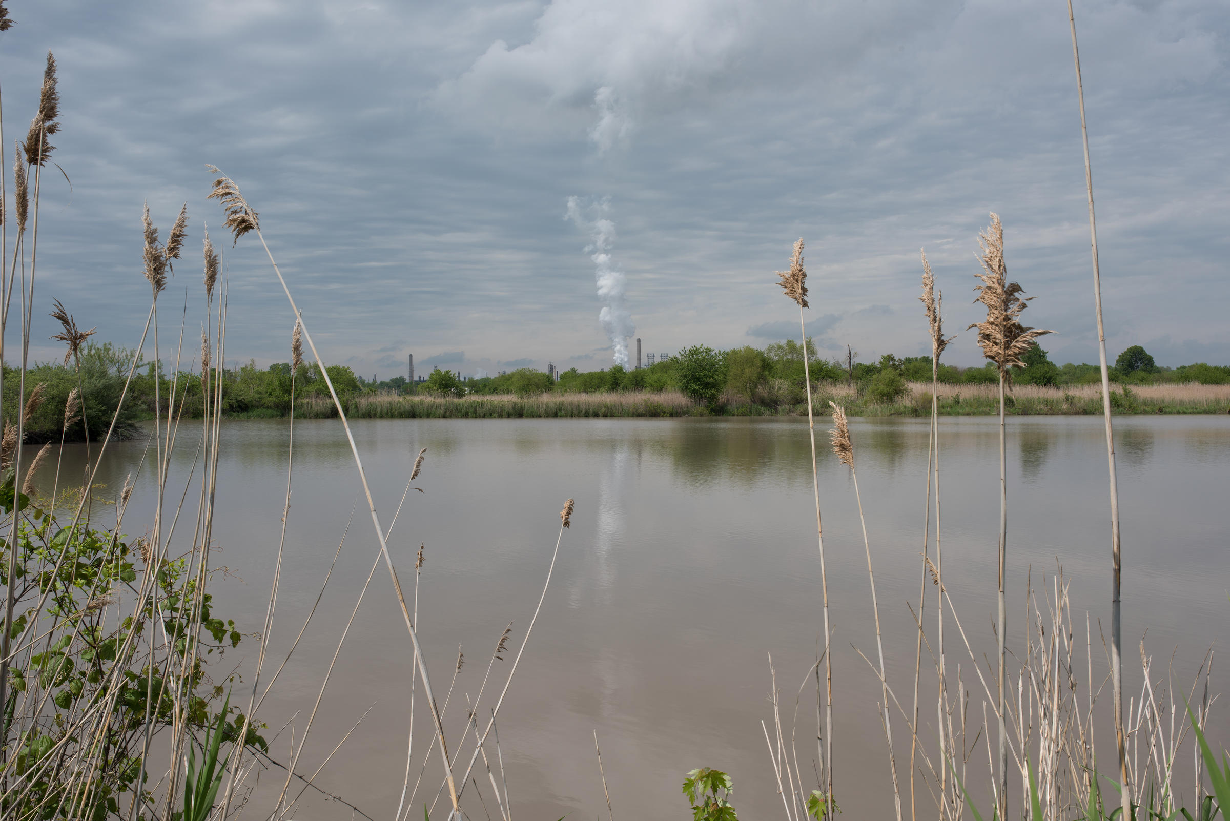 Interactive project will let users explore the St. Louis flood plain online and on foot | St ...