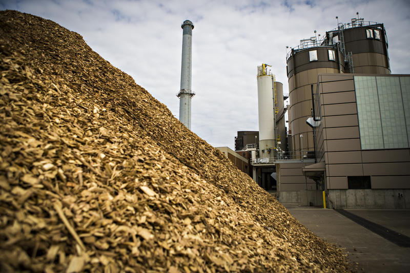 biomass-energy-in-new-hampshire-burning-organic-matter-for-heat-and