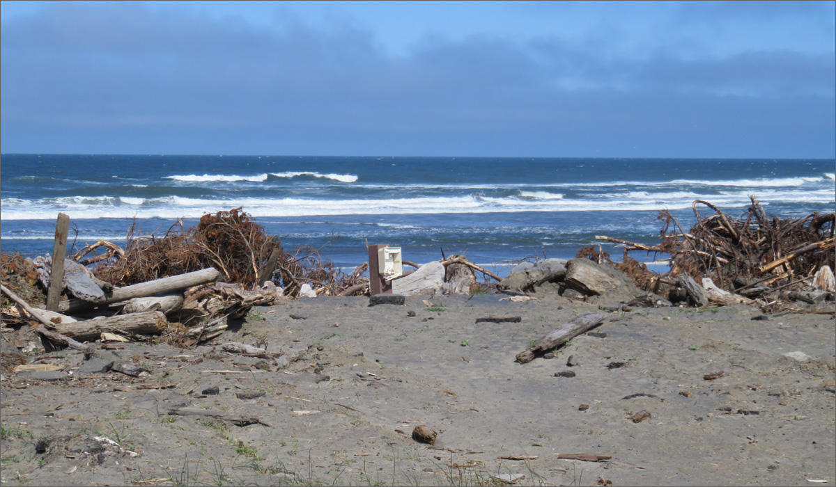 A winter storm destroyed this prime campsite and nine others at Cape Disappointment State Park. CREDIT: TOM BANSE / NORTHWEST NEWS NETWORK