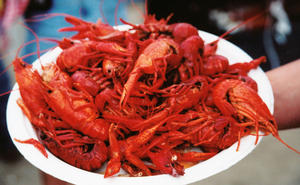 You Can Get Your Mudbugs Early This Year, And They're B...