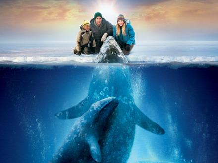 Names Of The 3 Whales In Big Miracle
