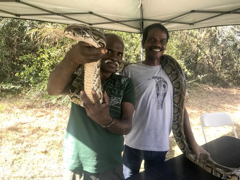 Want To Say 'Python' In Tamil? Visiting Snake Trackers Can Help With