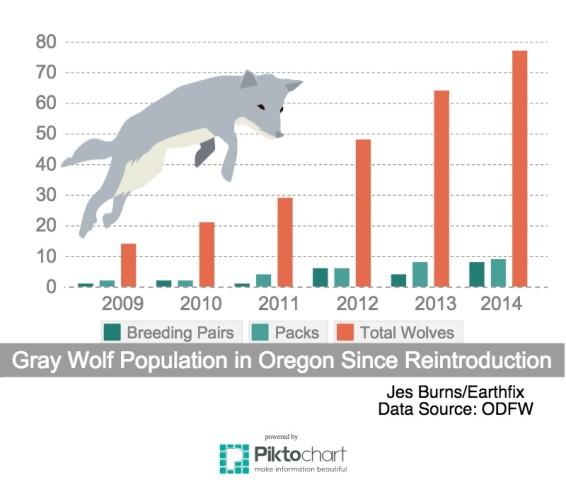 <p>The growing wolf population in Oregon.</p>