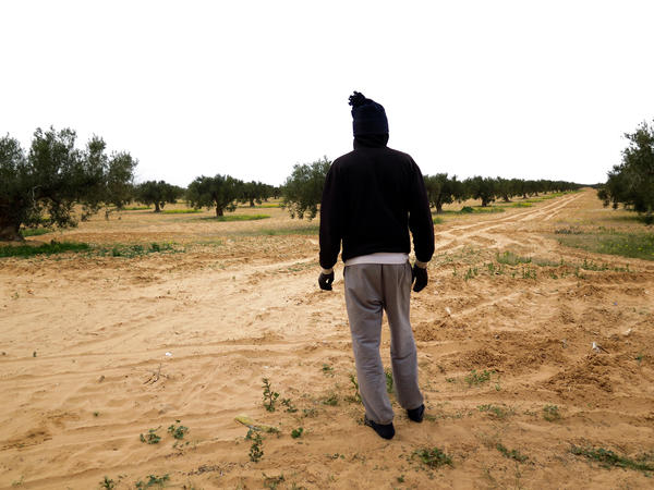 Mohammed works in an olive grove in southern Tunisia after he escaped from slavery in Libya. He's still afraid of the men who held him in Libya, so he asks not to be identified.