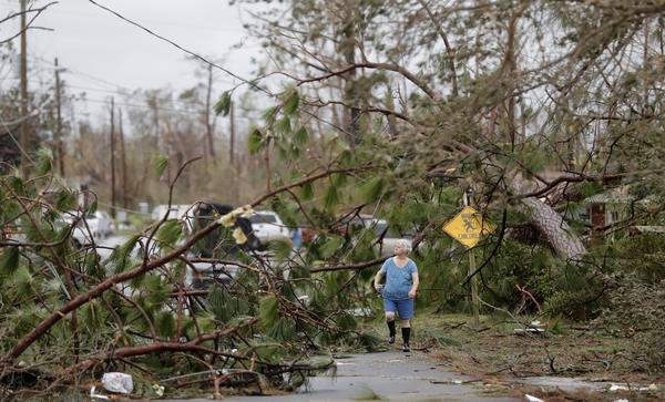 Carol Ralph walks through downed trees blocking her heavily damaged neighborhood just after Hurricane Michael passed through Panama City, Fla., on Wednesday.