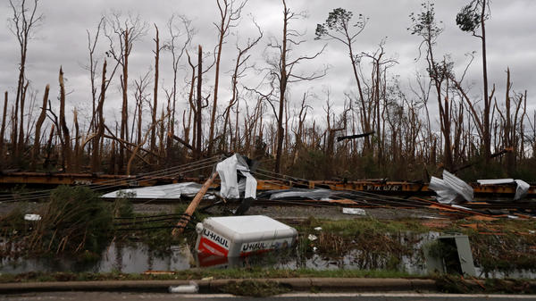 Downed power lines, shredded trees, derailed train cars and a sunken trailer are seen Wednesday in the aftermath of Hurricane Michael in Panama City, Fla.