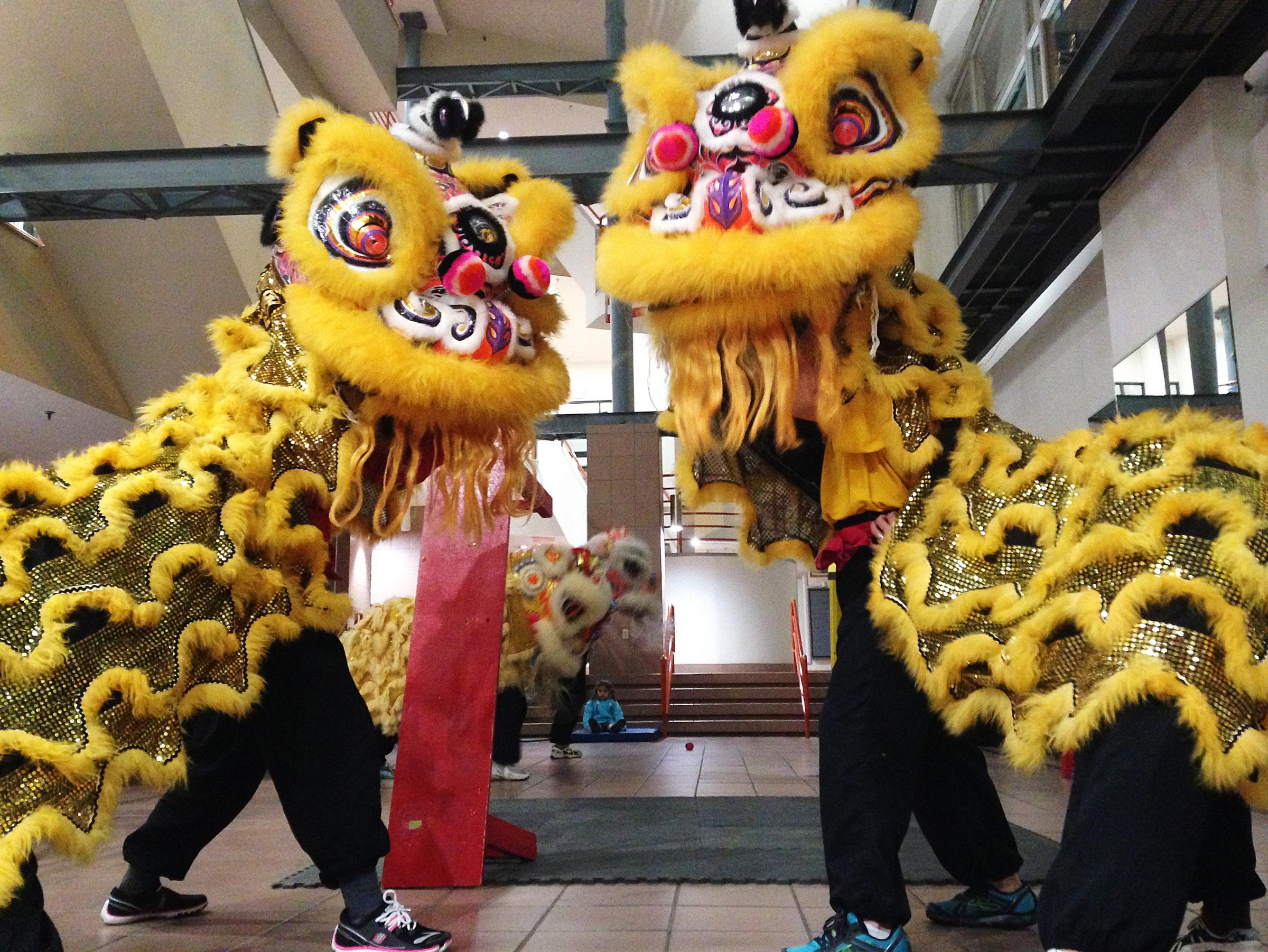 Asian Women Lion Dancers Boston 12