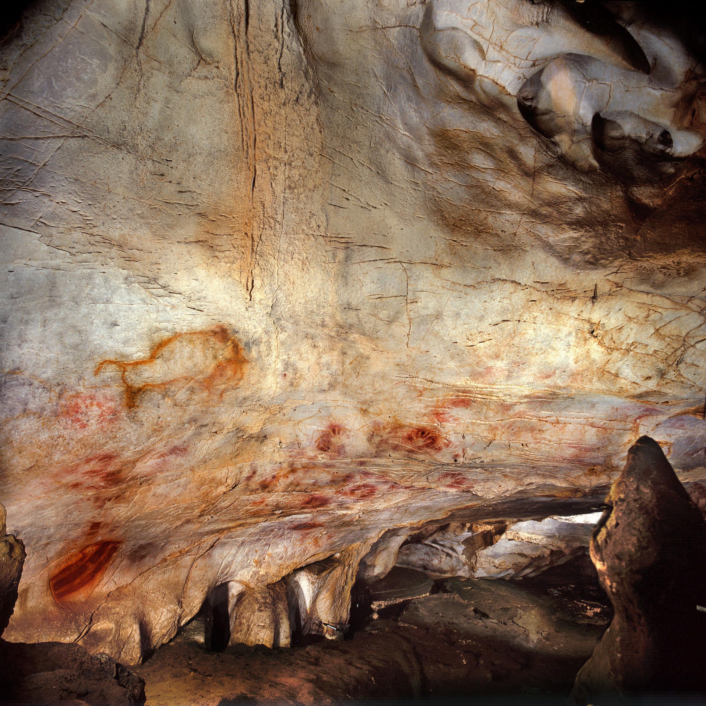Famous Cave Paintings Might Not Be From Humans Wgbh News