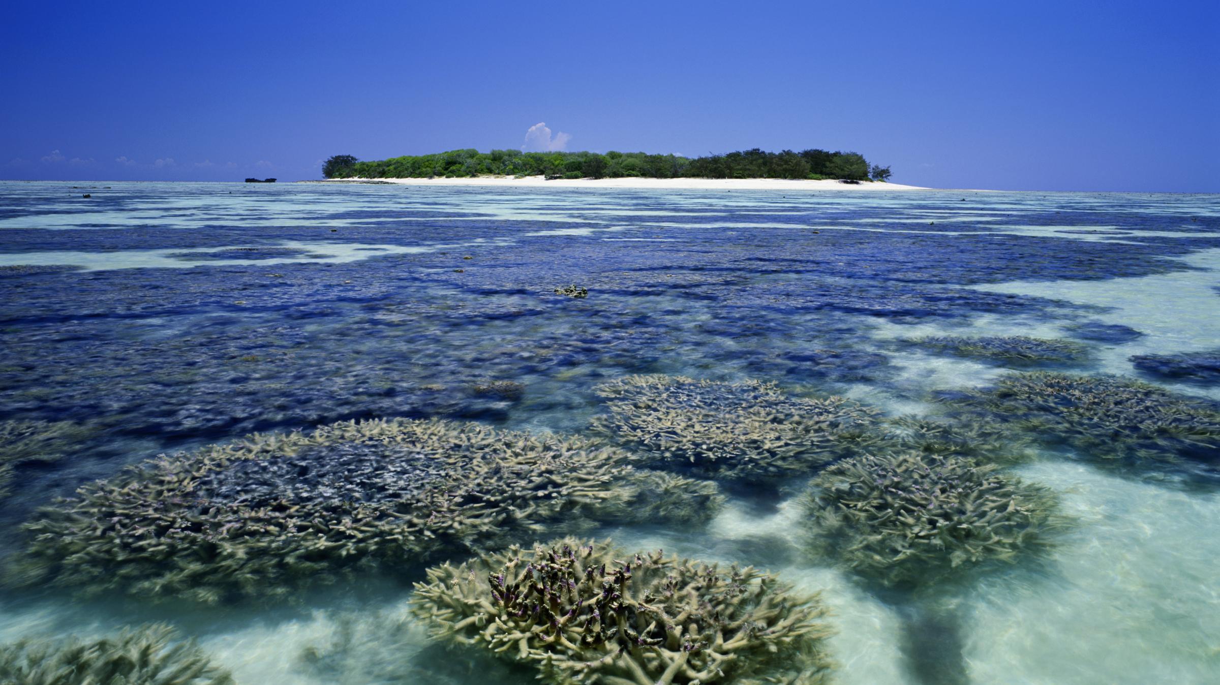 coral atoll