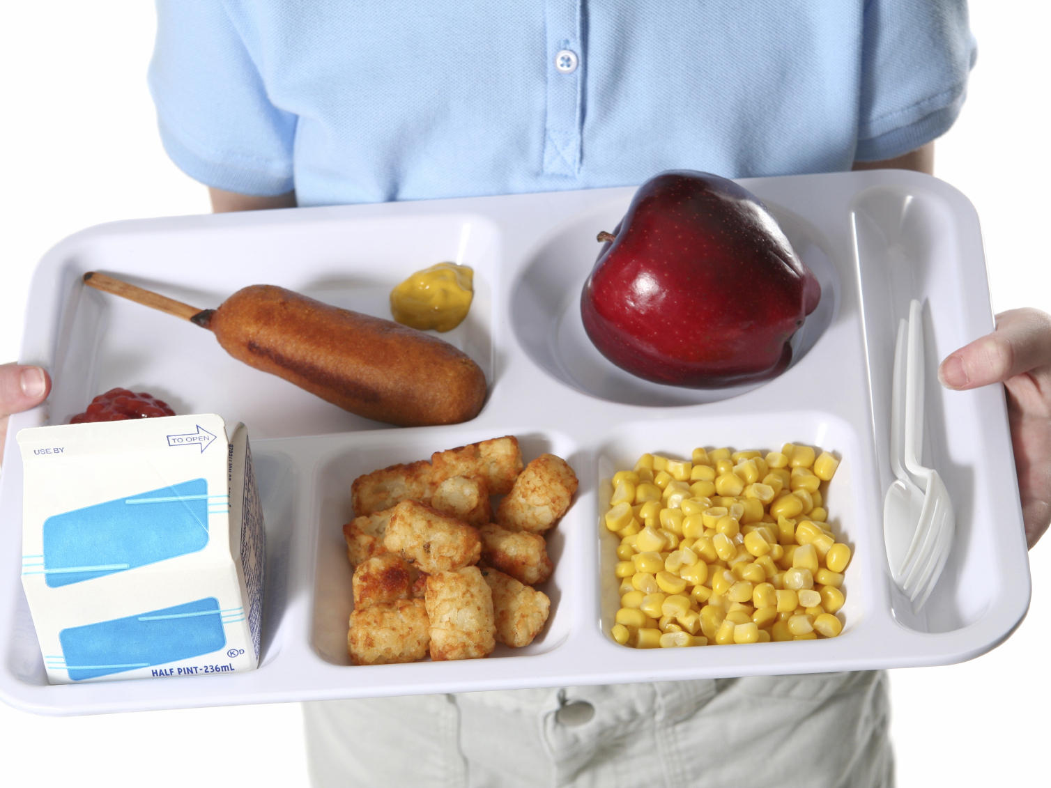 Healthy Hot Lunch Programs For Schools