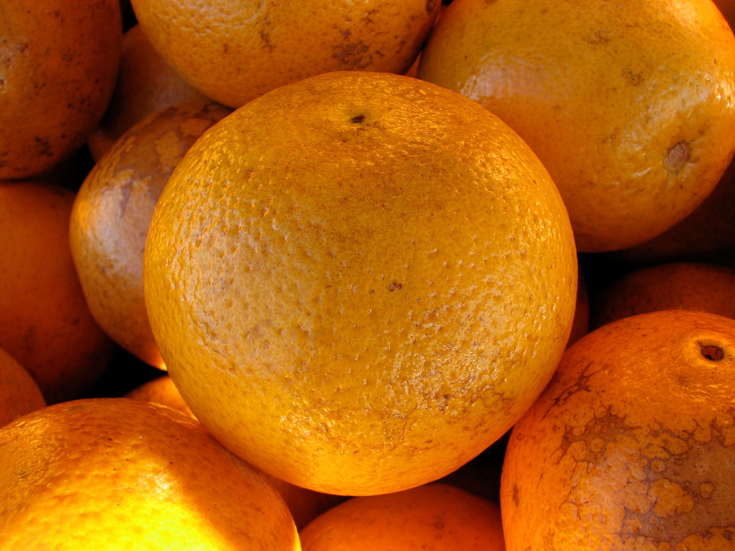 Florida's Orange Crop Estimate Gets Sunnier WGCU News