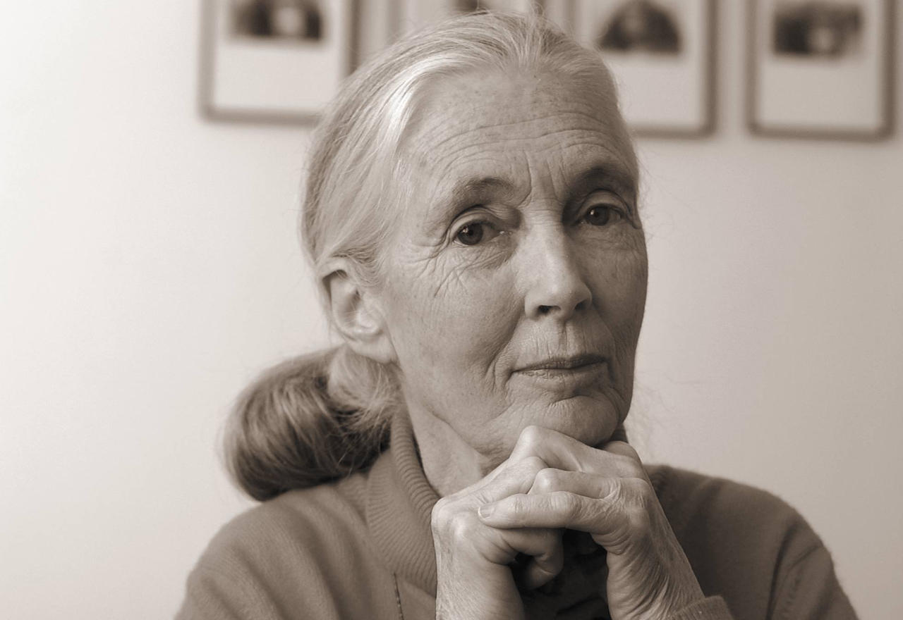 hope for animals and their world by jane goodall
