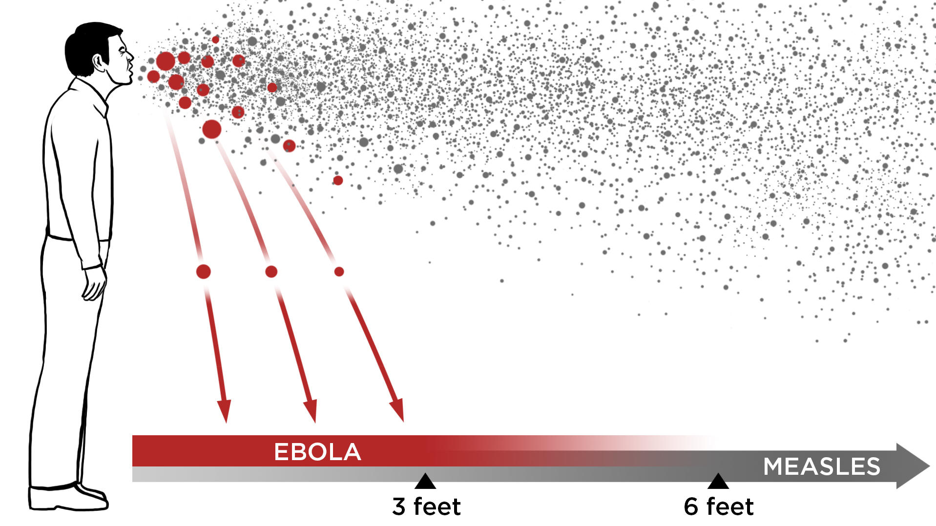 Ebola In The Air What Science Says About How The Virus Spreads New 