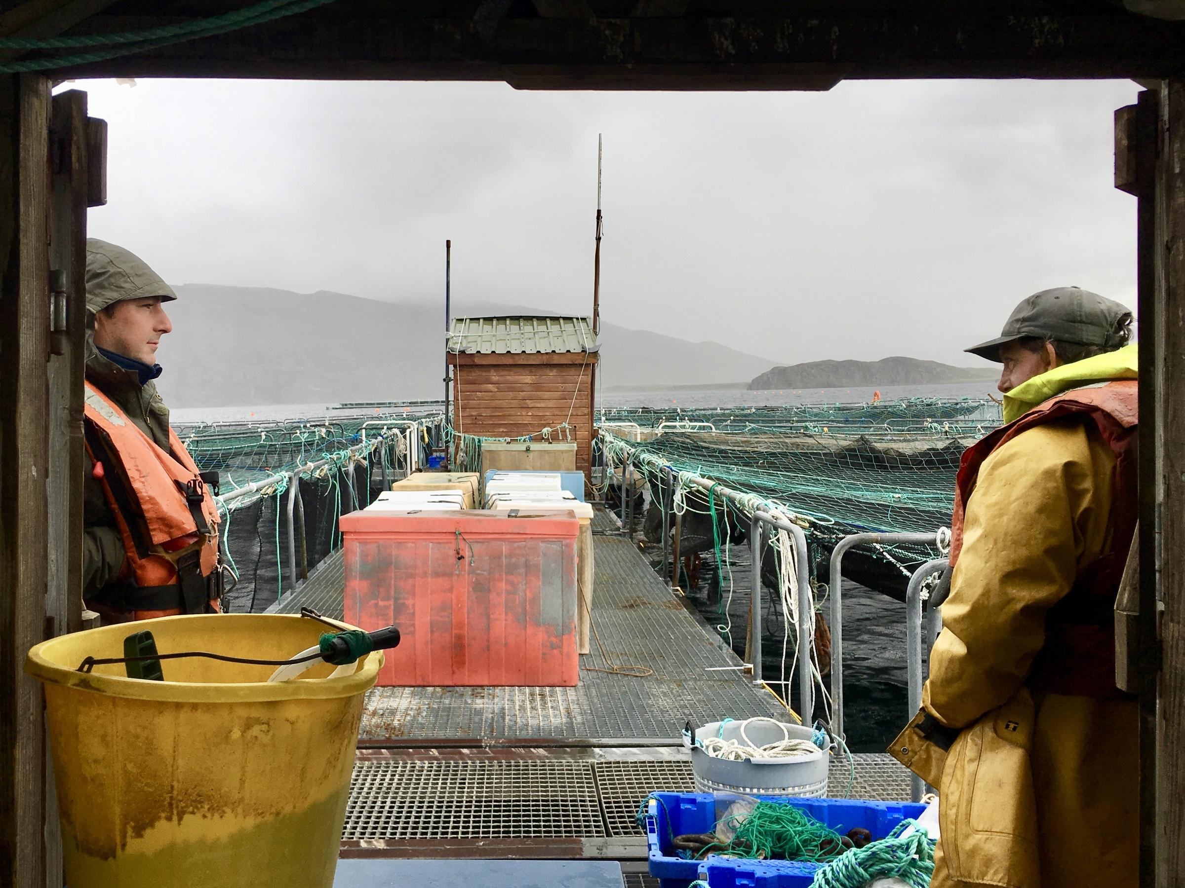 Scotland's $2 Billion Salmon Industry Is Thriving — But At ...