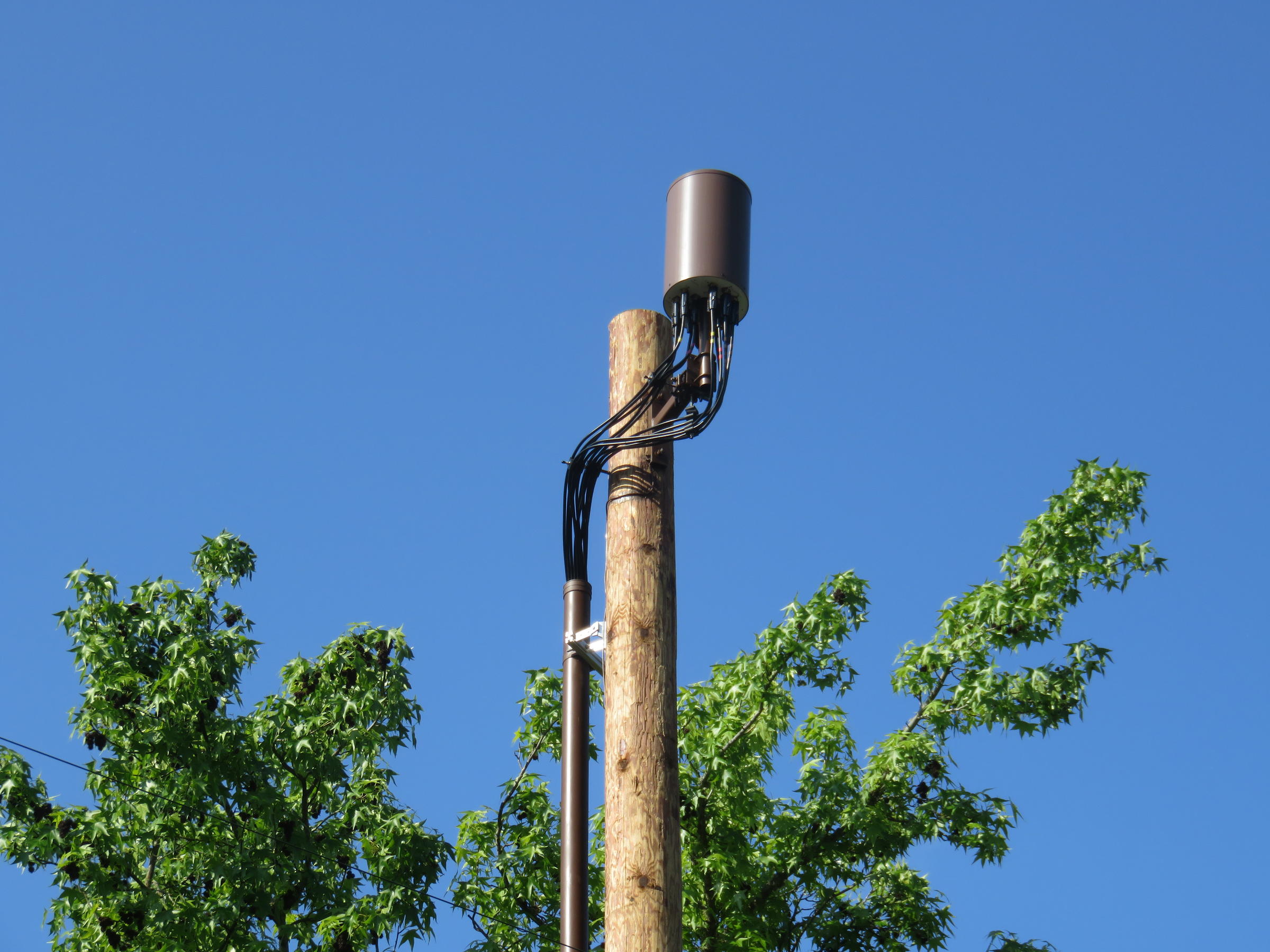 Another example of a backpack-sized small cell antenna, this one atop a power pole on a residential street corner in Eugene.