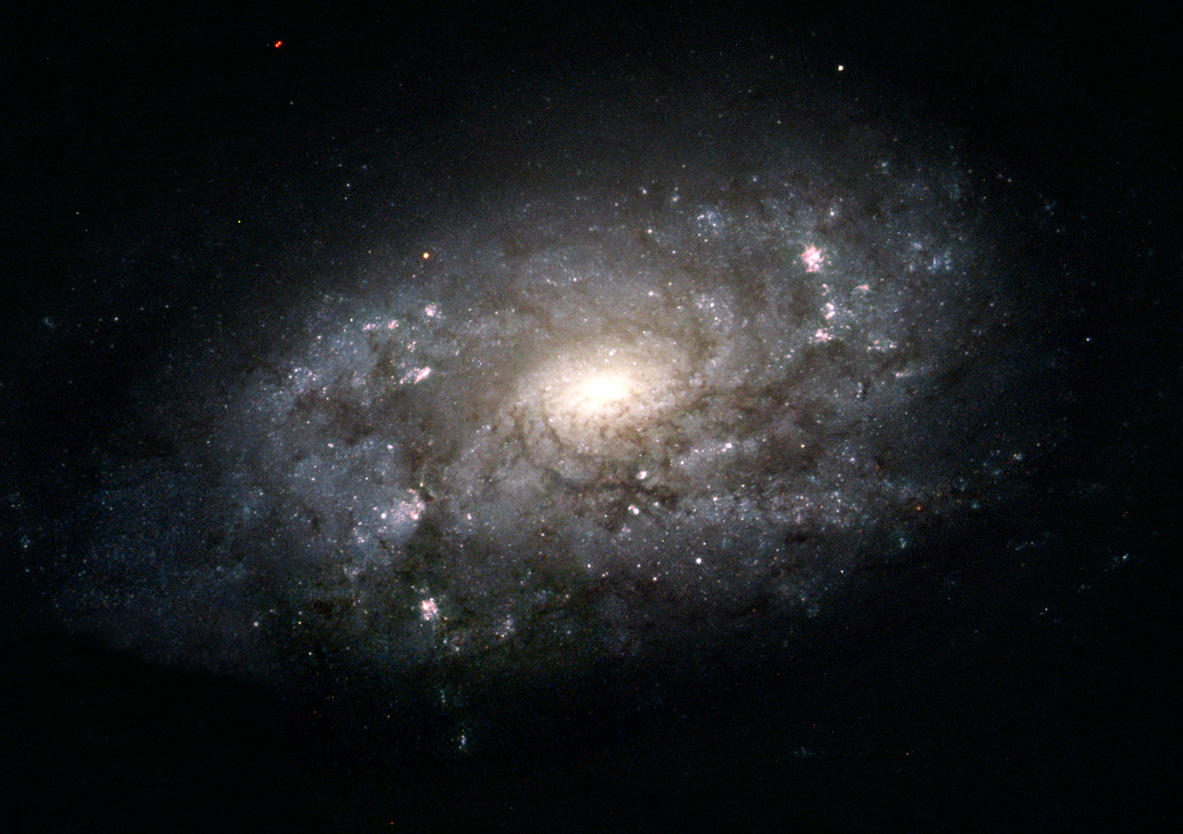 spiral galaxies like ngc 3949 pictured in this hubble image