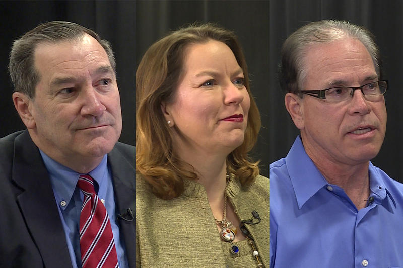 Indiana Senate Candidates Set For Second, Final Debate Northeast
