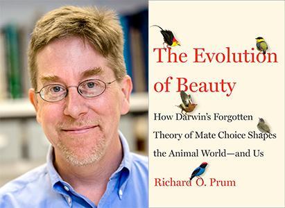 Richard O. Prum's "The Evolution of Beauty" Darwin's Theory of Mate Choice on ... - Utah Public Radio
