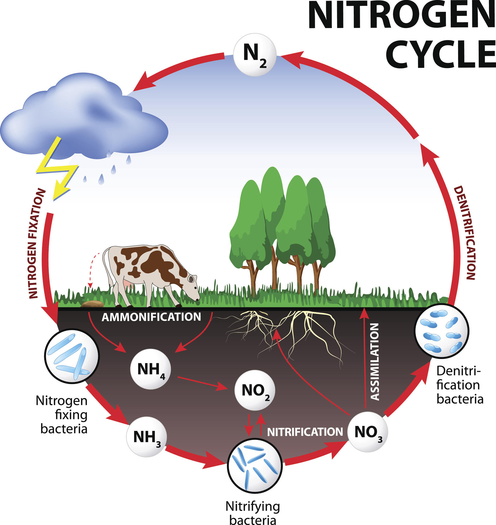 Nitrate Risk Near Farms: A Hydrogeologist Explains ...