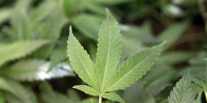 Clarkston is reducing penalties for possession of an ounce or less of marijuana.