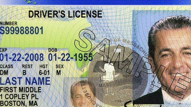 usa drivers licence psd