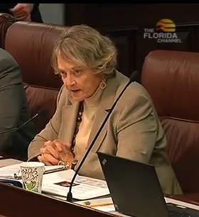 Sen. Nancy Detert (R-Venice) speaking at the Florida Senate Children, Families, and Elder Affairs Committee Thursday about her bill.