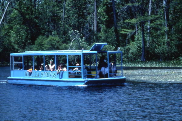 glass bottom boat florida memory In: Everyone Knows the Answer | Our Santa Fe River, Inc. (OSFR) | Protecting the Santa Fe River