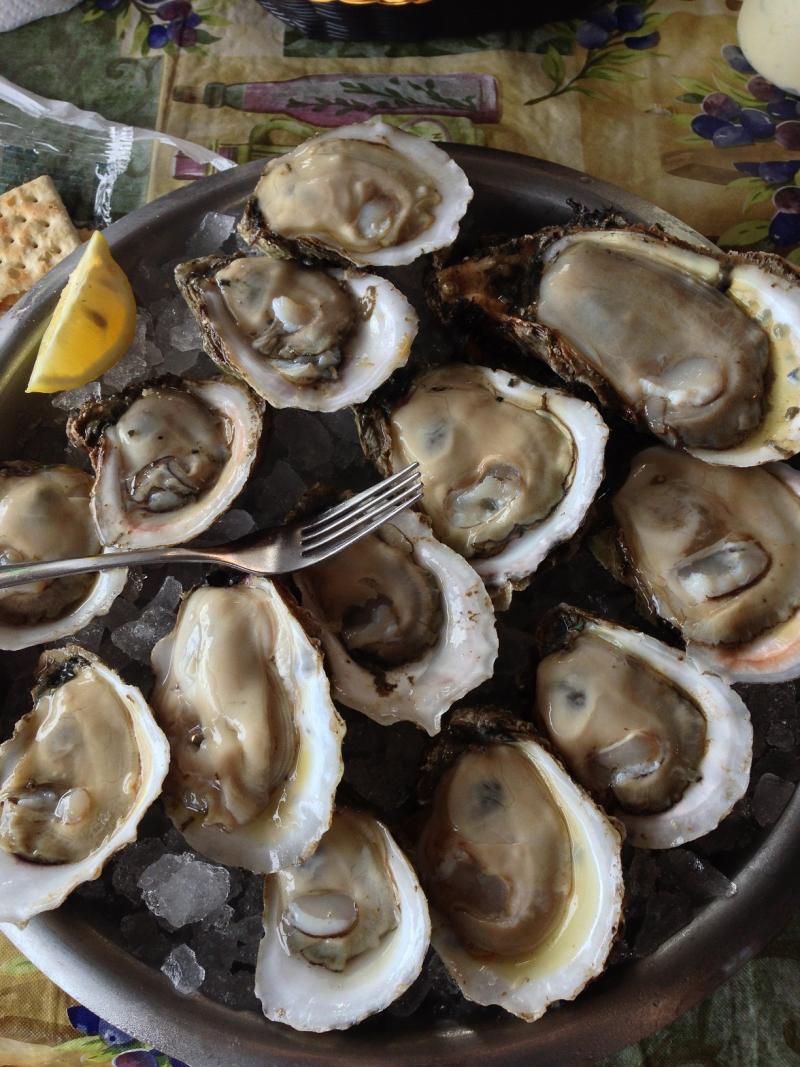 What's The Best Way To Grow More Oysters? Apalachicola Study Aims For